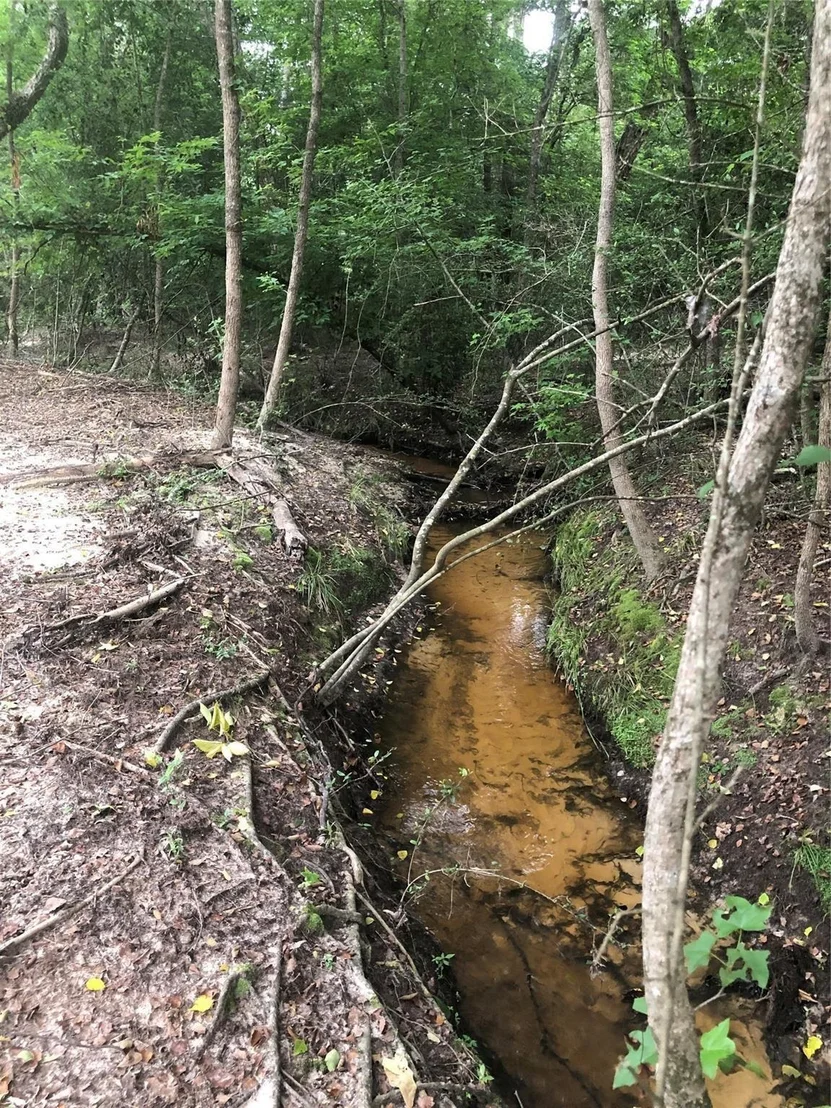 Photo of 1841 Pr 1315