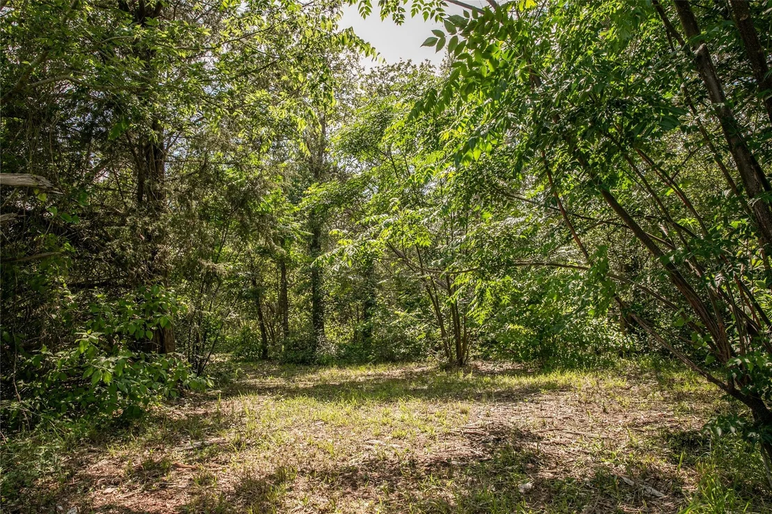 Photo of 12899 Young Lane