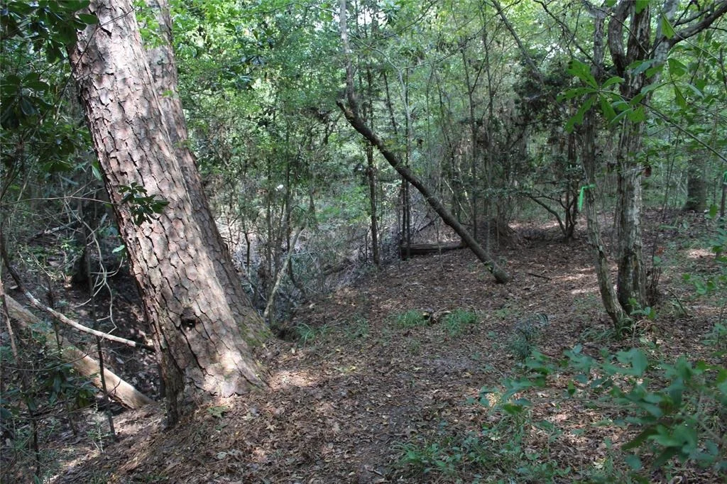 Photo of 1901 Lakeview Estates Drive