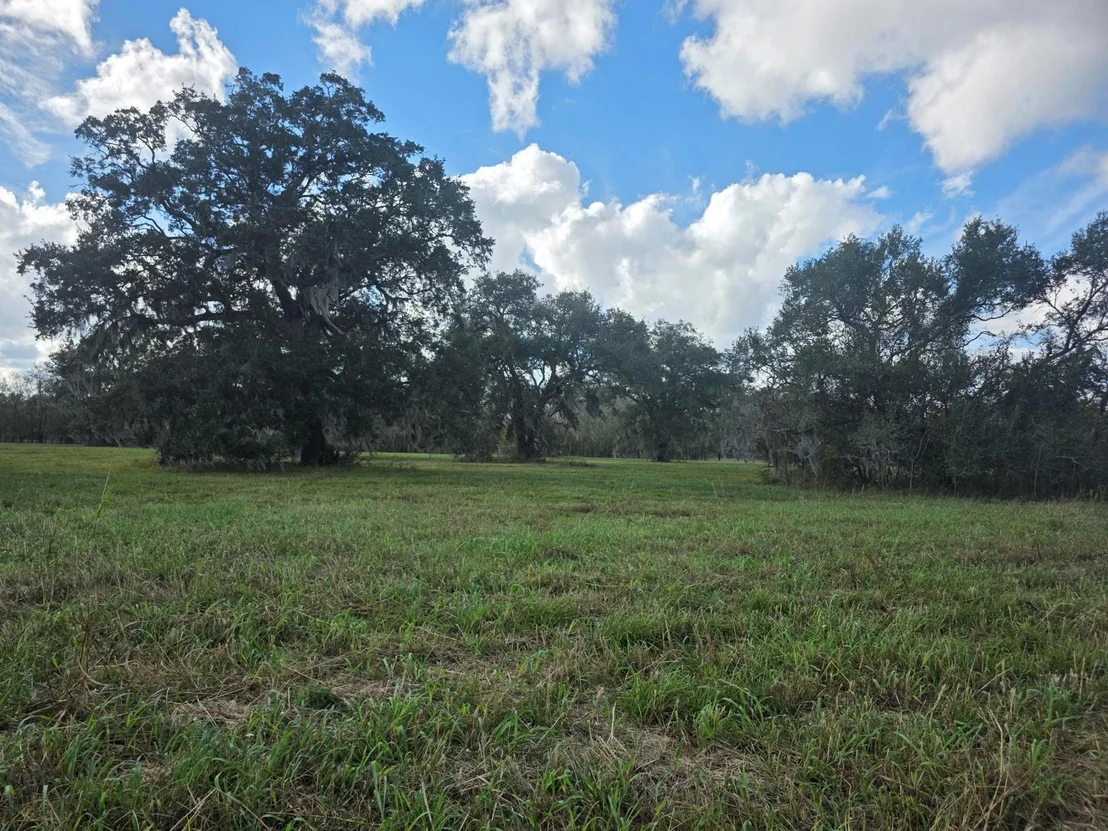 Photo of 340 Pony Trail