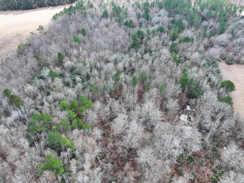 Photo of TBD Off Fm 355