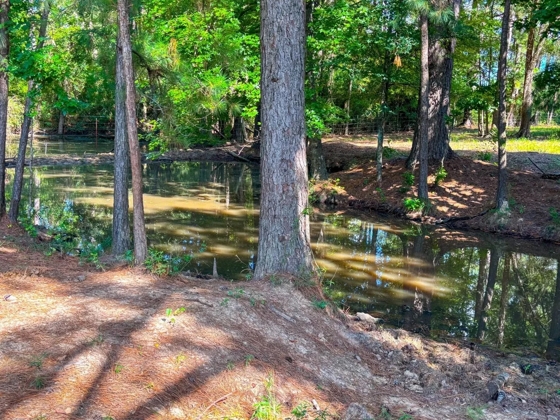 Photo of 1533 County Road 348