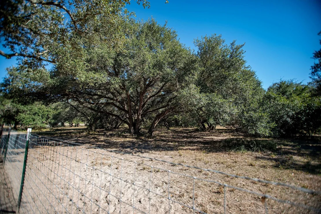 Photo of 437 Bischoff Road