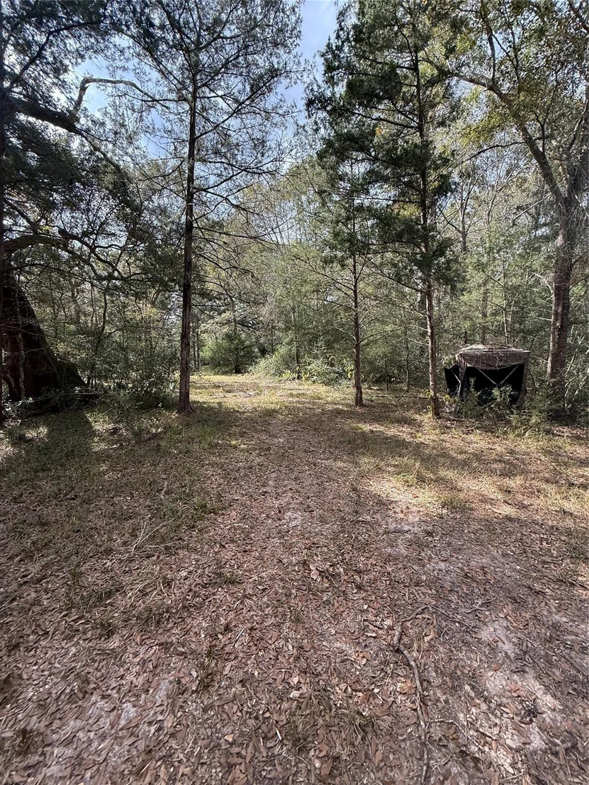 Photo of 0 Fm-1459