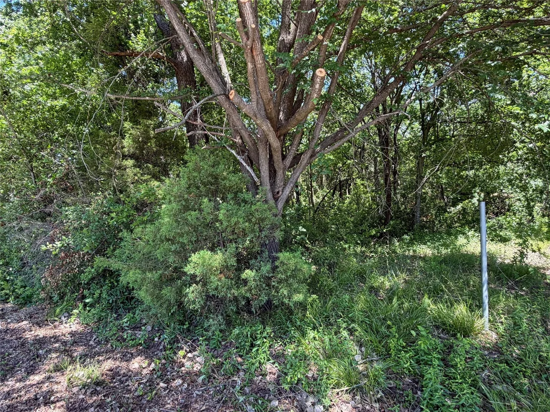 Photo of 1341 & 1343 Waikiki Trail