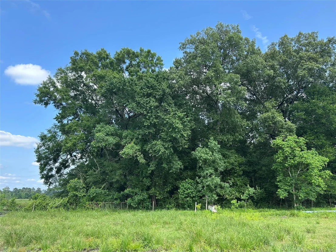 Photo of Lot 61 Minnie West Drive