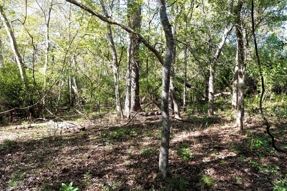 Photo of 202 County Road 142b