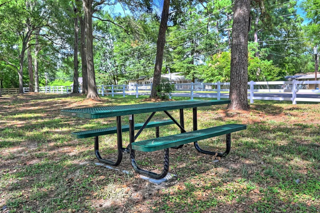 Photo of 11789 White Cedar