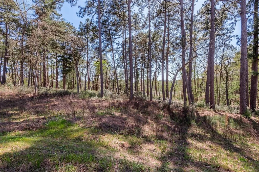 Photo of 128 Three Lakes Ranch