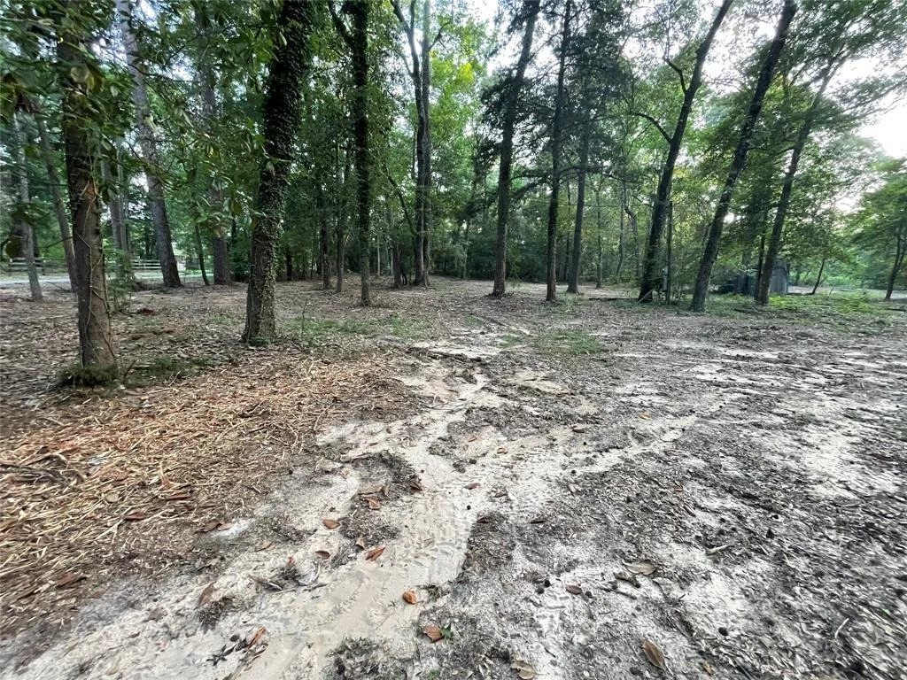 Photo of 11451 White Road