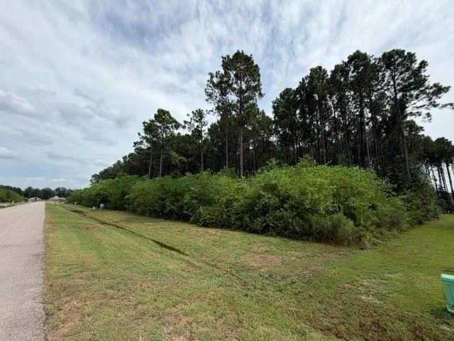 Photo of 143 County Road 6614