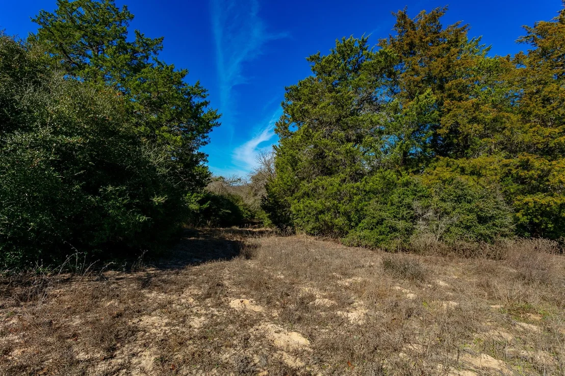 Photo of 10162 County Road 321