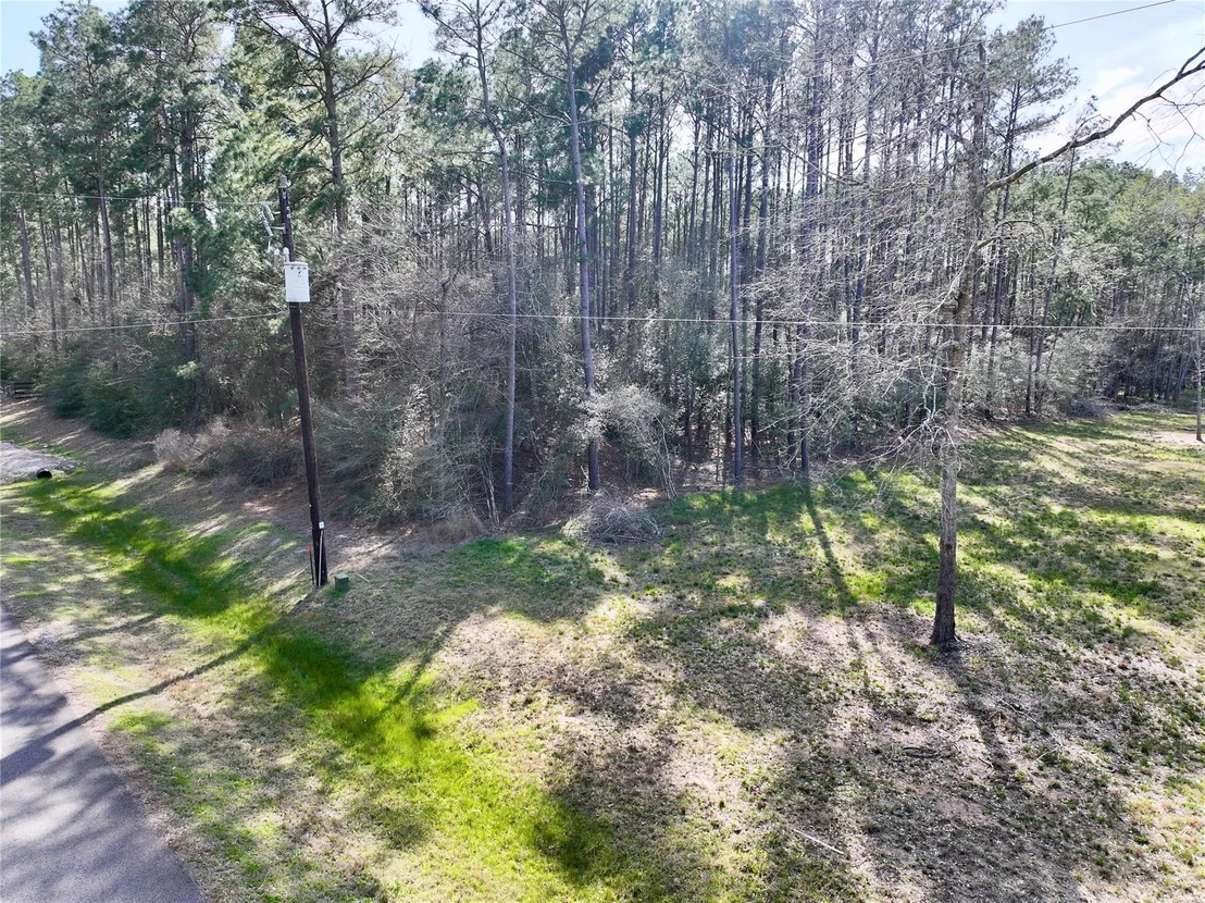 Photo of 17424 Woodforest Dr