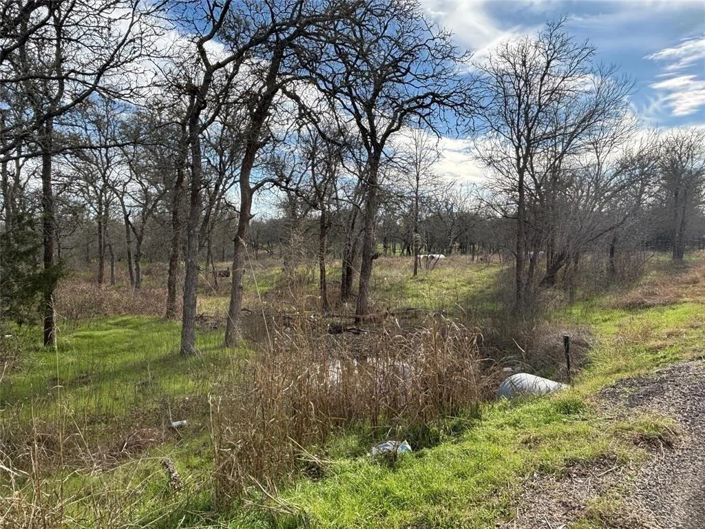 Photo of 245 Elm Forest Loop
