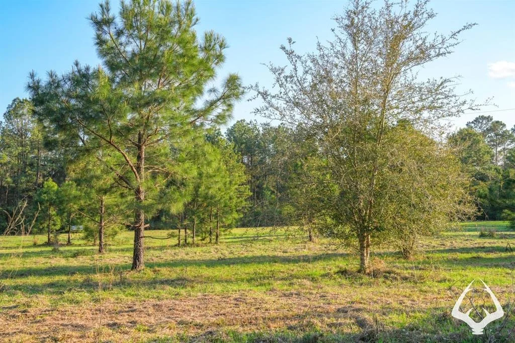 Photo of 850 County Road 4390