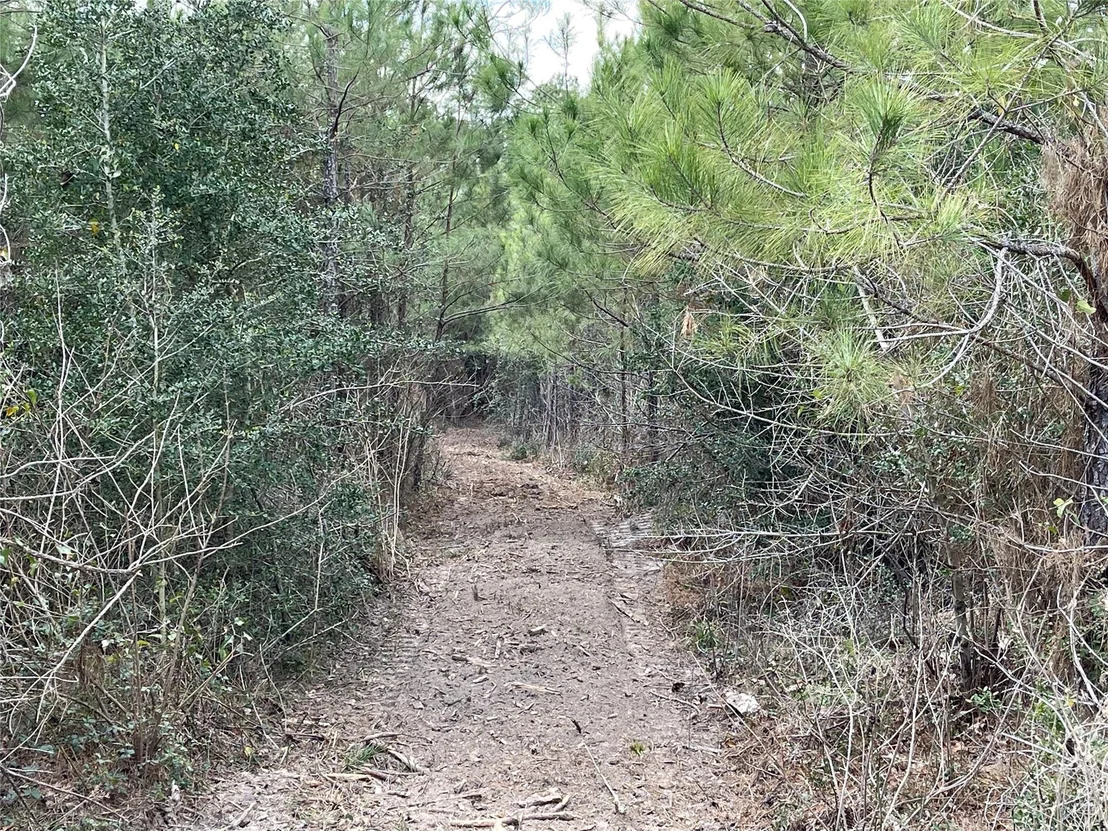 Photo of 15699 Ridge Rock Road