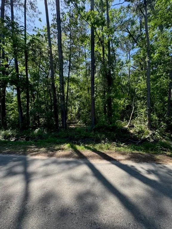 Photo of 166 County Road 3475