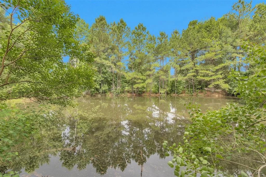 Photo of 18721 Dalton Willis Drive