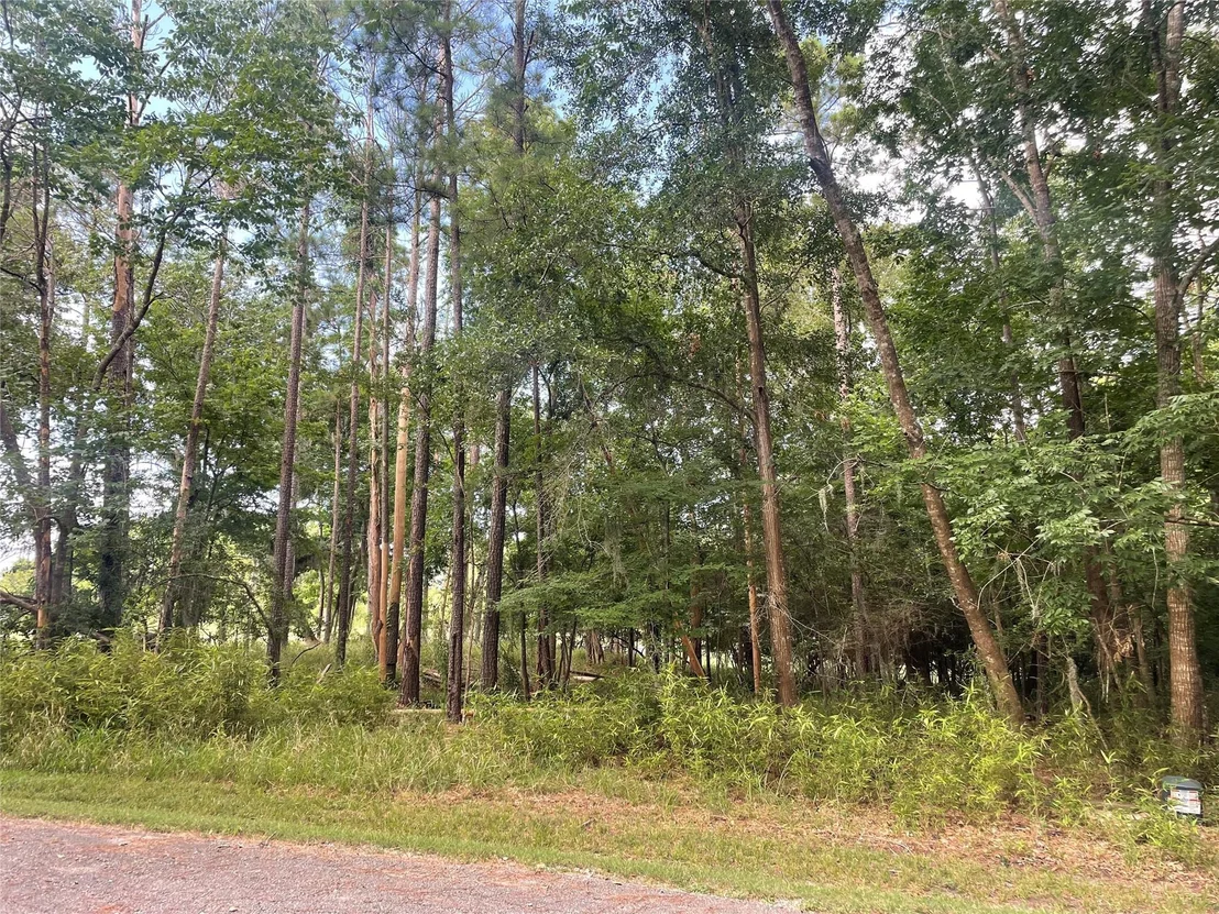 Photo of 11 Crown Drive