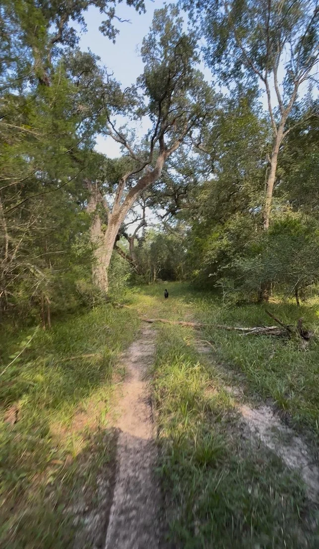 Photo of 0 Fm-1459