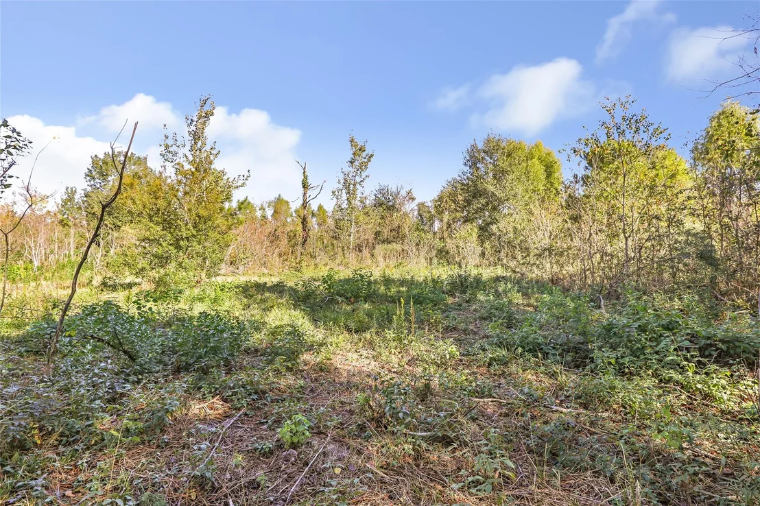 Photo of 576 County Road 614