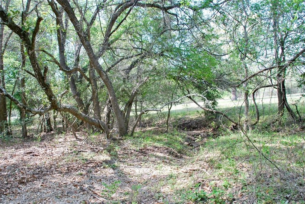 Photo of 1801 County Road 381