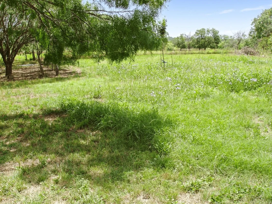 Photo of 11913 Mcangus Road
