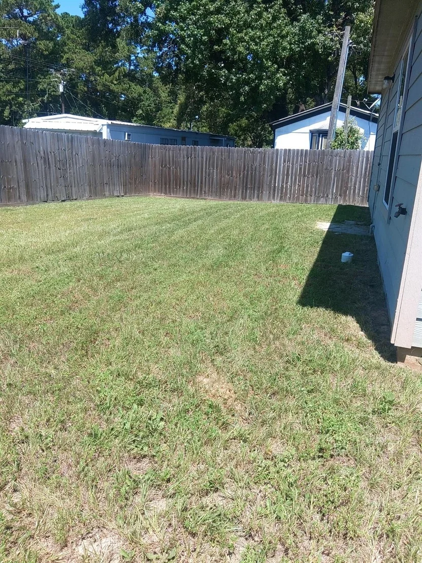 Photo of 183 Mesquite