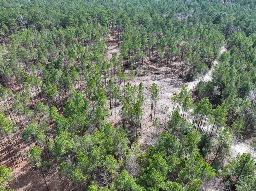 Photo of TBD Off Fm 355