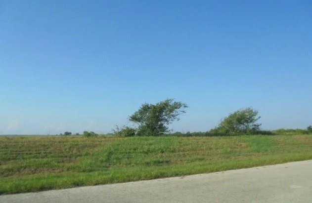 Photo of 1477 County Road 237