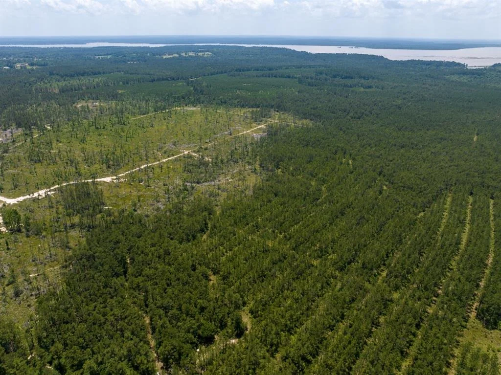 Photo of TBD Fm 355