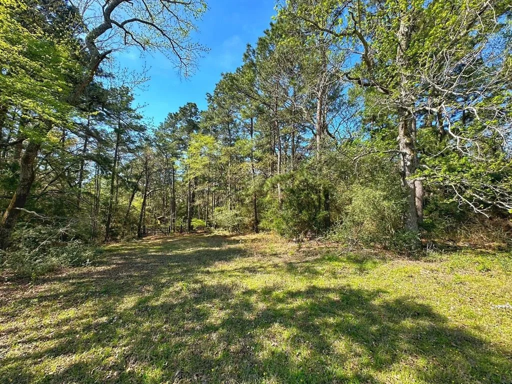 Photo of 751 Cr 121