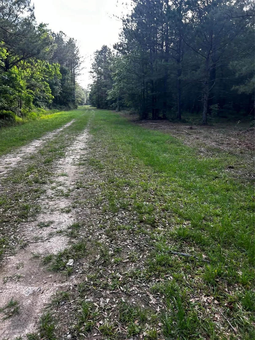 Photo of 0 County Line Road