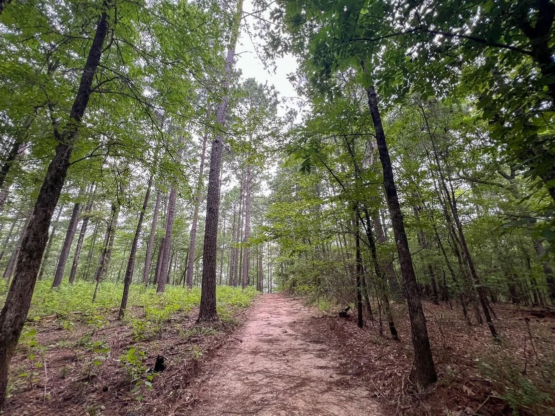 Photo of 4.5 Arledge Trail/Off Gateway Meadows