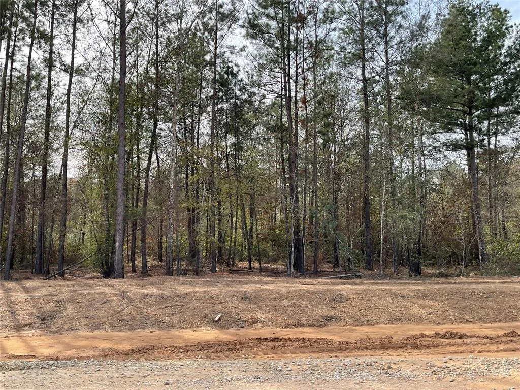 Photo of 11640 Grand North Road