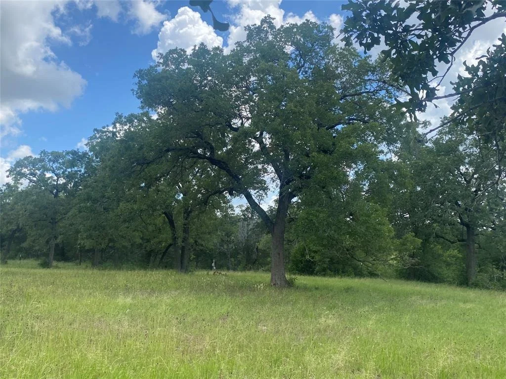 Photo of 1333 A Old Sayers Rd Road