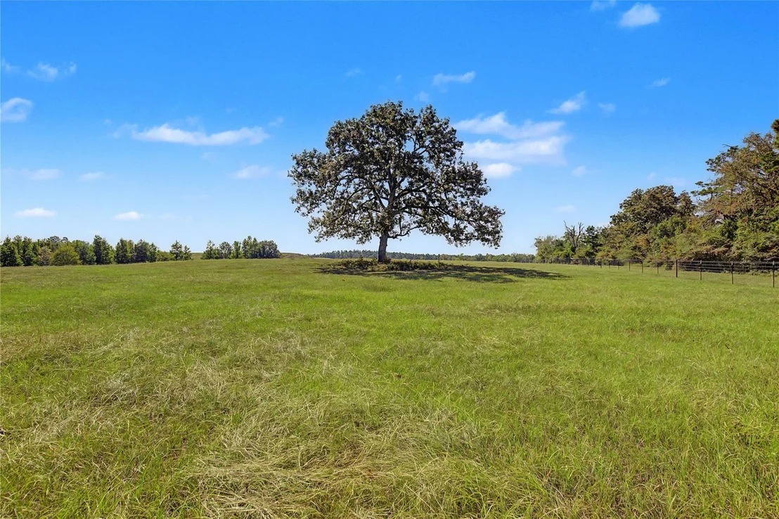 Photo of 3233 N State Highway 19