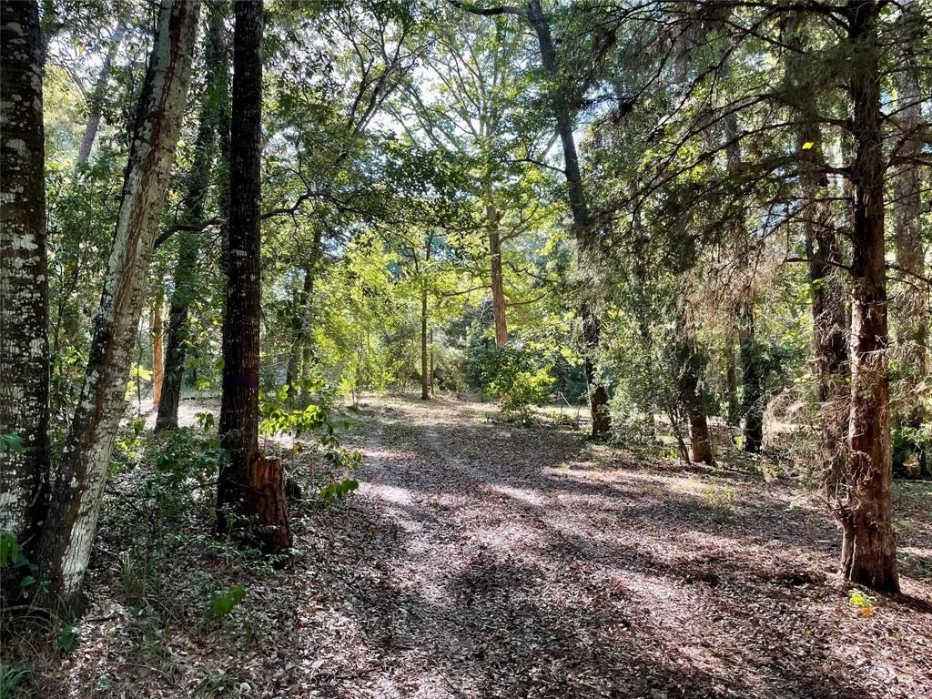 Photo of 11451 White Road