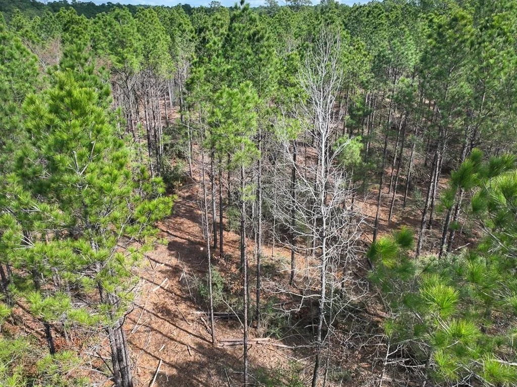 Photo of TBD Off Fm 355