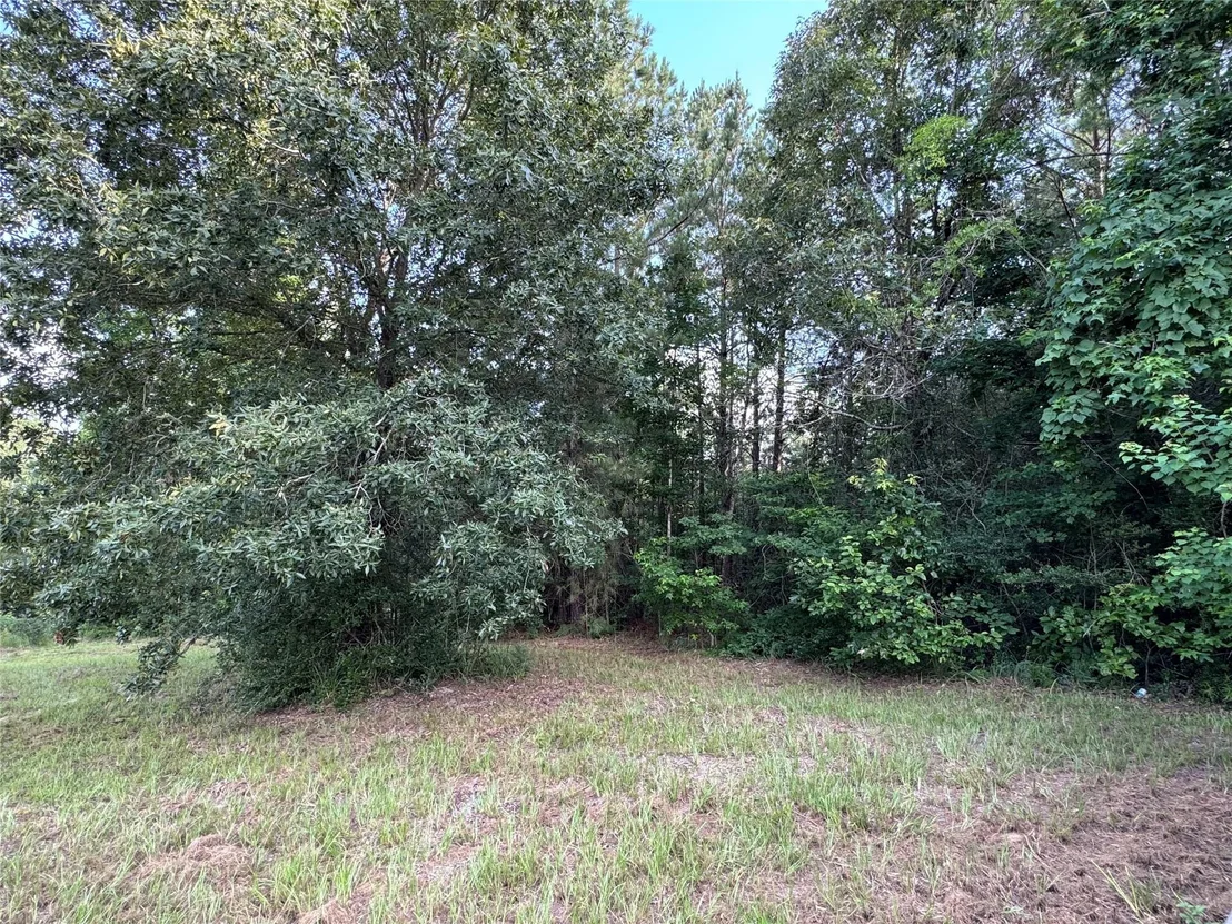 Photo of 95 Red Wolf Lane