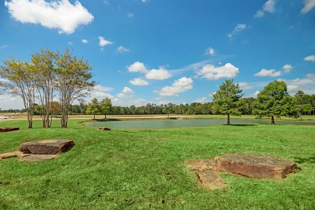 Photo of 2017 Stallion Lakes Avenue