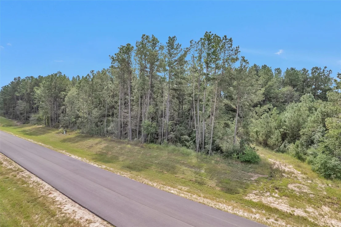 Photo of 11976 Highbranch Way