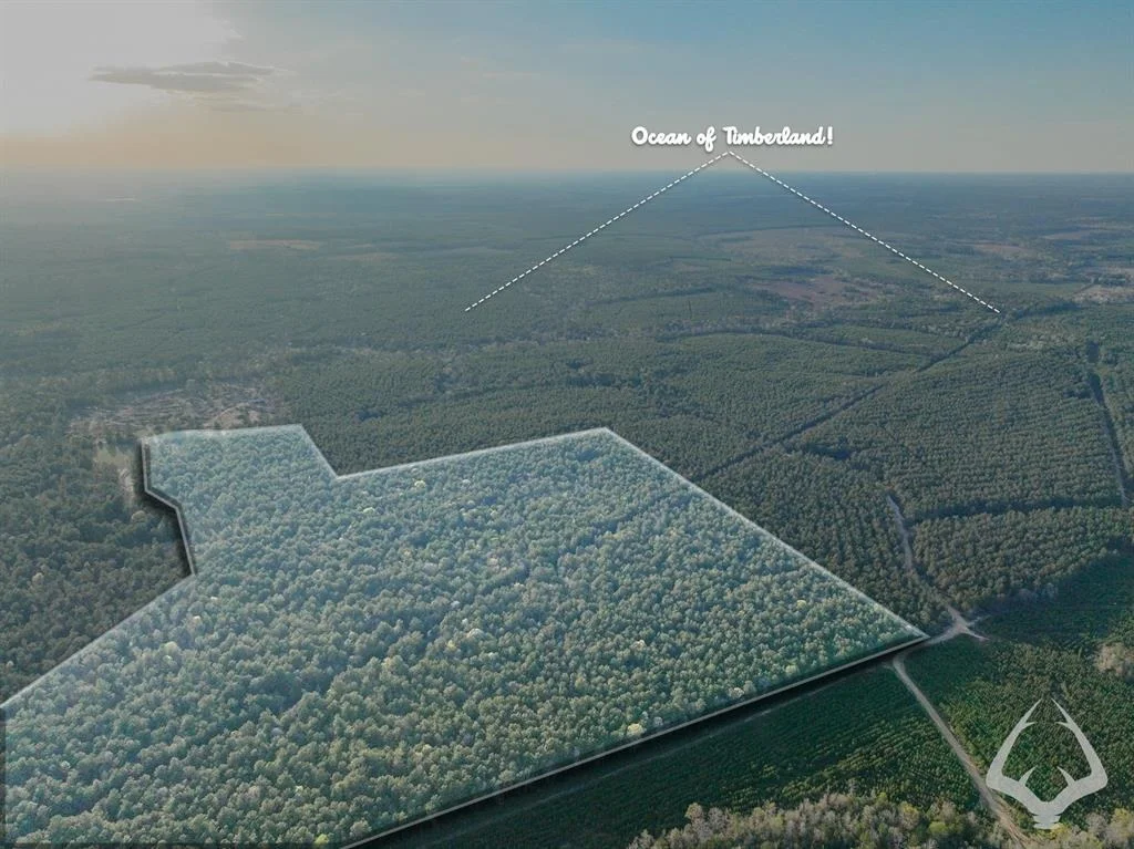 Photo of 850 County Road 4390