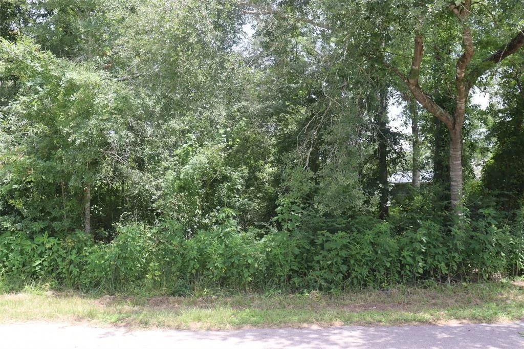 Photo of 17138 Hl Patton Boulevard