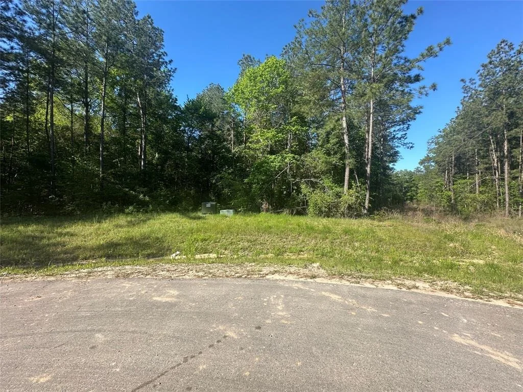 Photo of 15505 Republic Park Trail