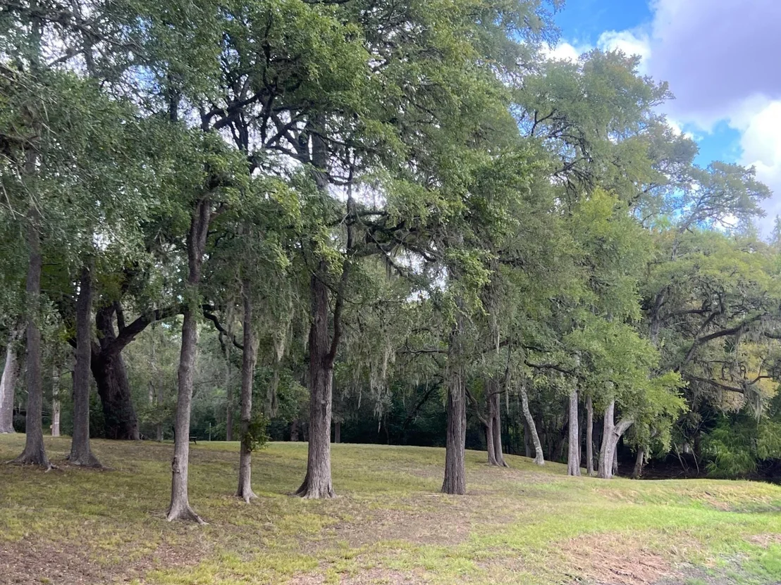 Photo of 1135 Buescher Road