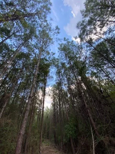 Photo of 19853 Ghost Road
