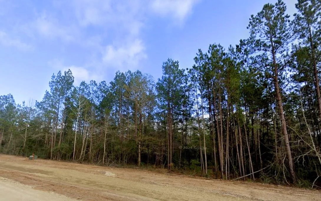 Photo of 11794 Grand North Road