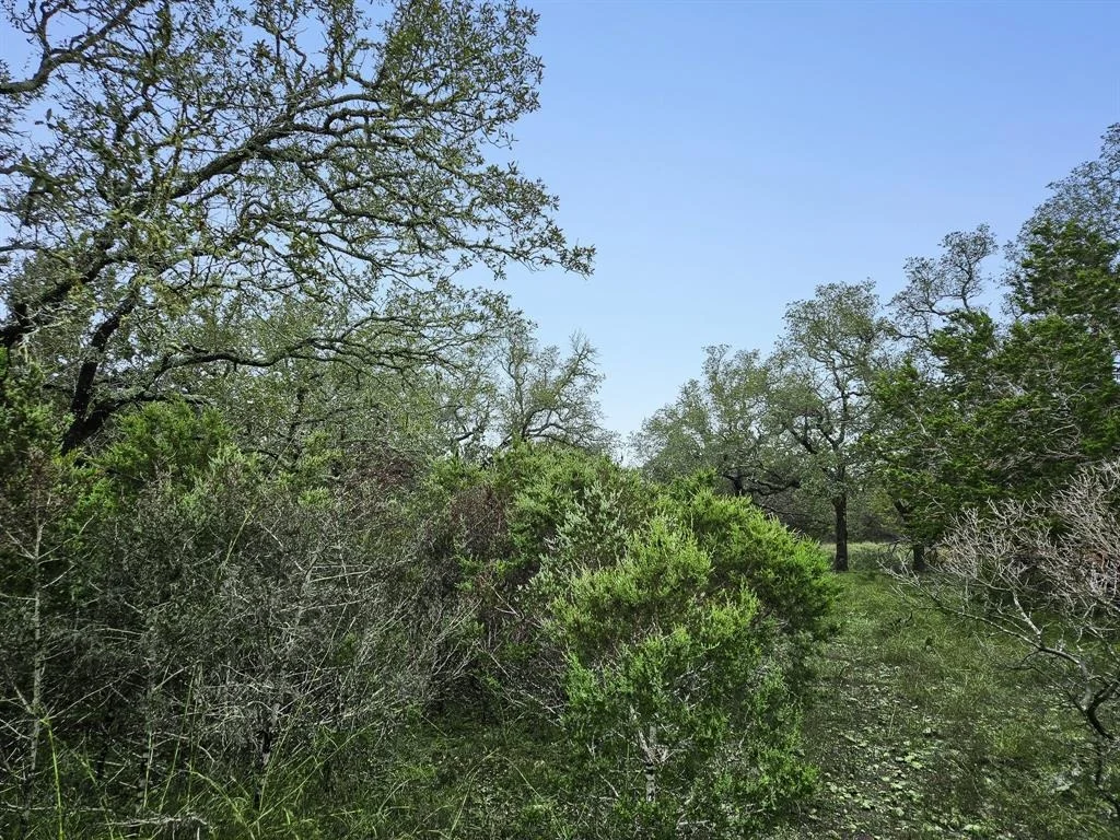 Photo of 157 Verbena Circle
