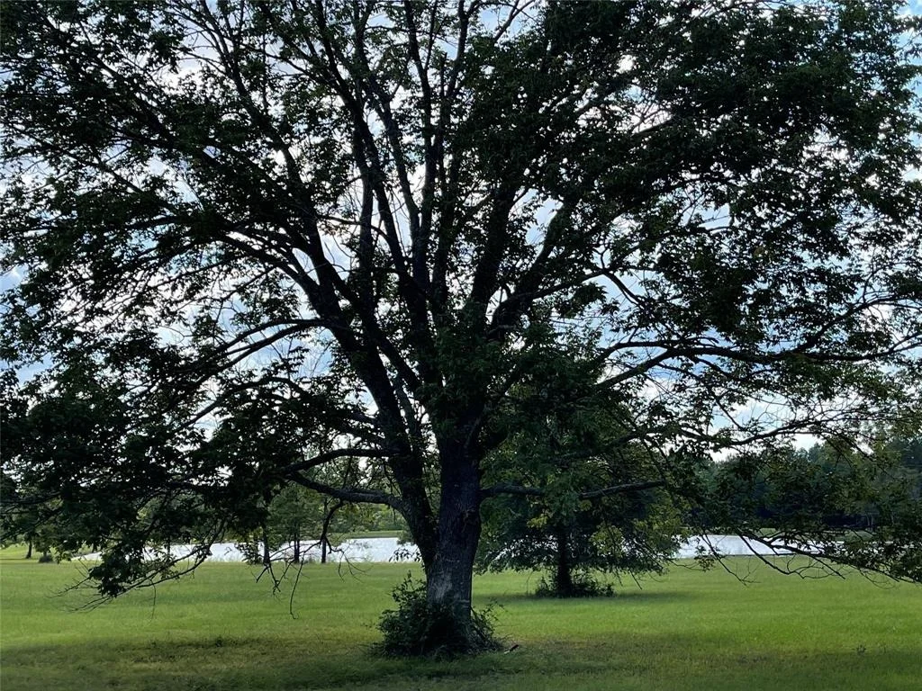 Photo of 16068 Forest Mill Road